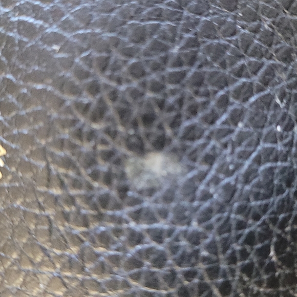 Mini Fossil Leather Crossbody - Picture 4 of 8